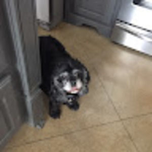 Meet your Posher, Aubrey